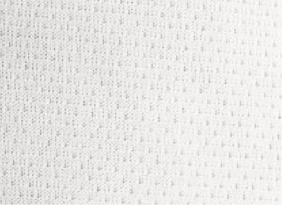 cool-max-400x533_D@2x